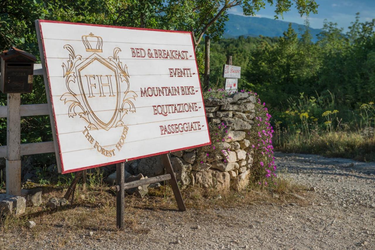 The Forest House Isernia Exterior photo